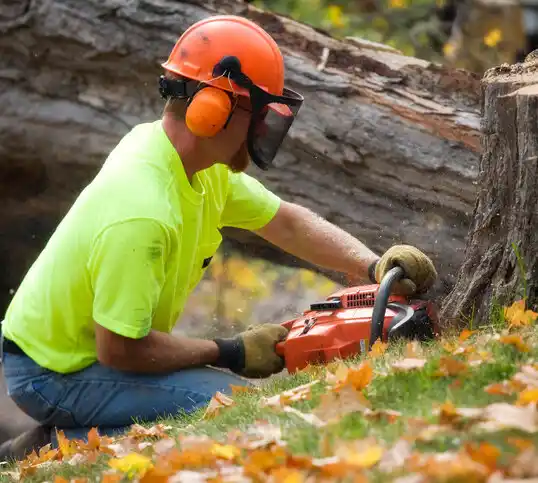 tree services Humansville